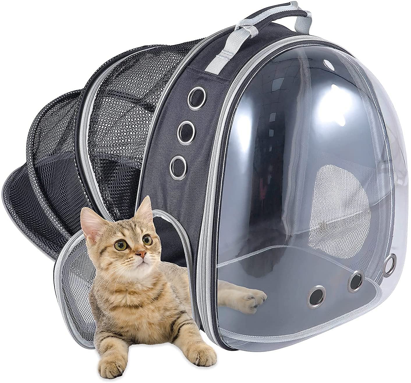 Qpets Side Door Design Cat Carrier Backpack, Expandable Cat Dog Backpack Carrier Bag, Transparent Capsule Air Breathable Transparent Carrier Backpack for Travelling, Ourdoor Qpets Side Door Design Cat Carrier Backpack, Expandable Cat Dog Backpack Carrier Bag, Transparent Capsule Air Breathable Transparent Carrier Backpack for Travelling, Ourdoor